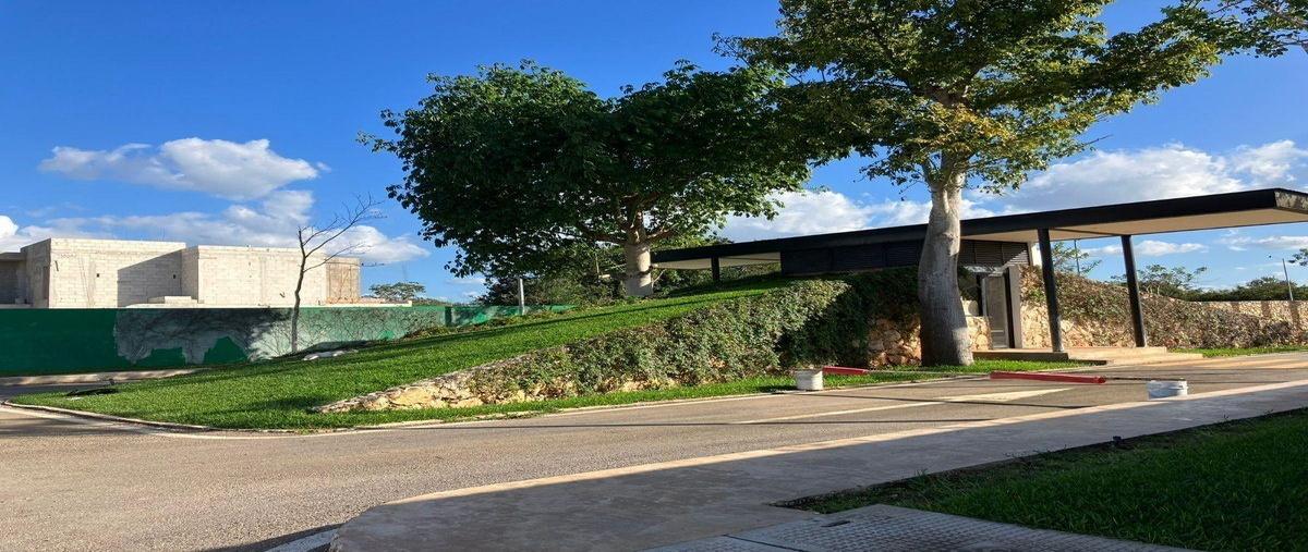 Foto de terreno habitacional en venta en  , conkal, conkal, yucatán, 30147635 No. 03