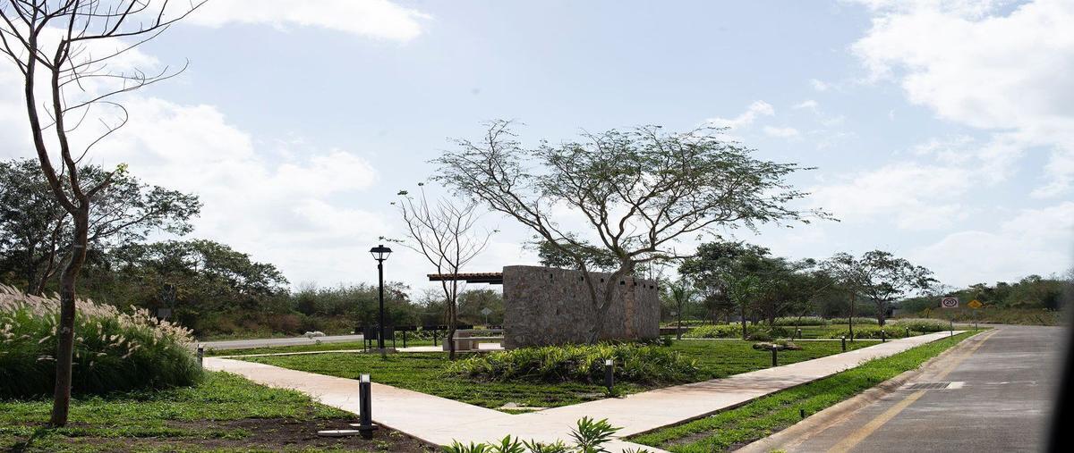 Foto de terreno habitacional en venta en  , conkal, conkal, yucatán, 0 No. 04