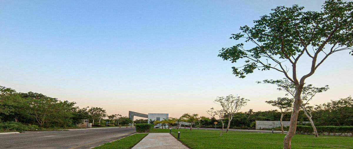 Foto de terreno habitacional en venta en  , conkal, conkal, yucatán, 0 No. 05