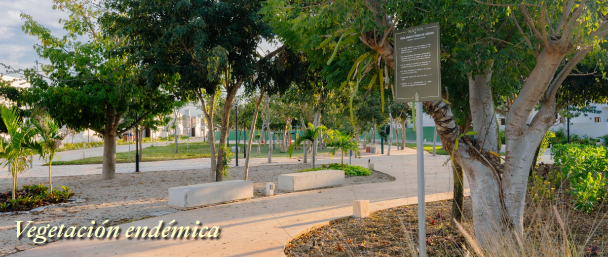 Foto de casa en venta en  , conkal, conkal, yucatán, 30375250 No. 03