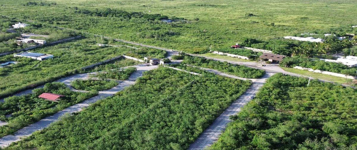 Foto de terreno habitacional en venta en  , conkal, conkal, yucatán, 30609929 No. 05