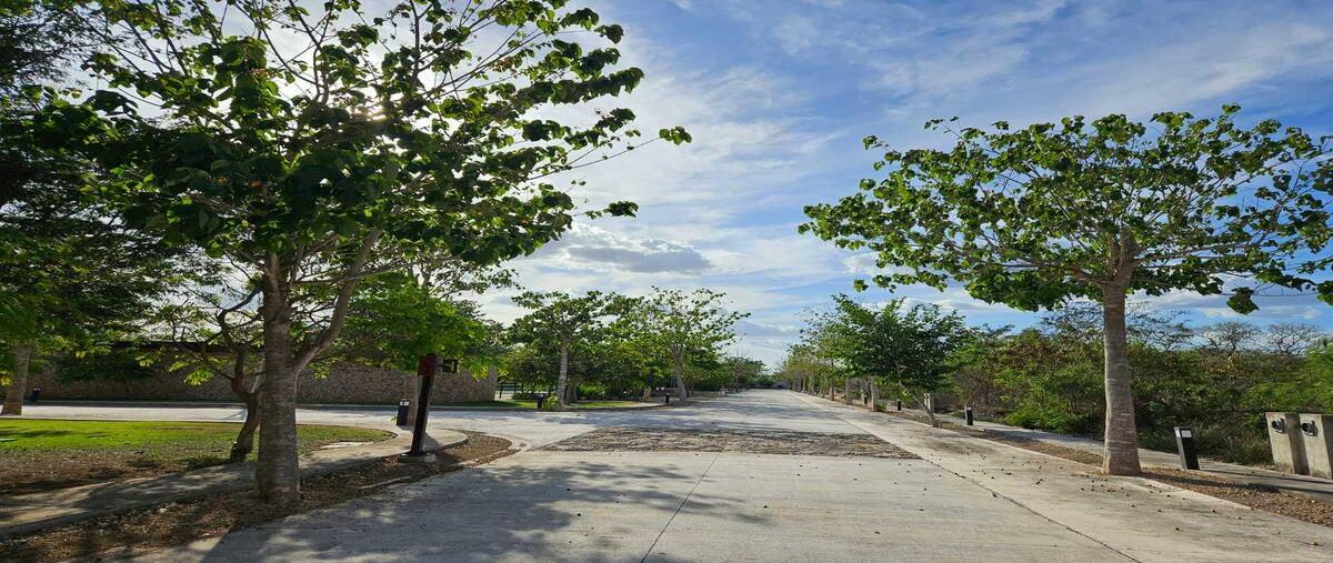 Foto de terreno habitacional en , conkal, conkal, yucatán, 30609940 foto 03 Foto de terreno habitacional en venta en , conkal, conkal, yucatán, 30609940 No. 03