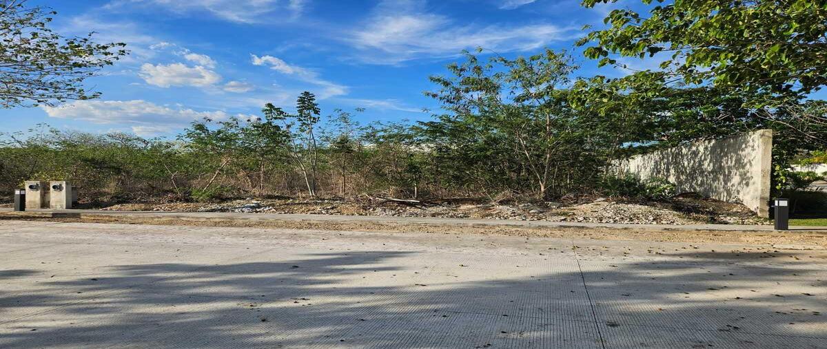Foto de terreno habitacional en , conkal, conkal, yucatán, 30609940 foto 04 Foto de terreno habitacional en venta en , conkal, conkal, yucatán, 30609940 No. 04
