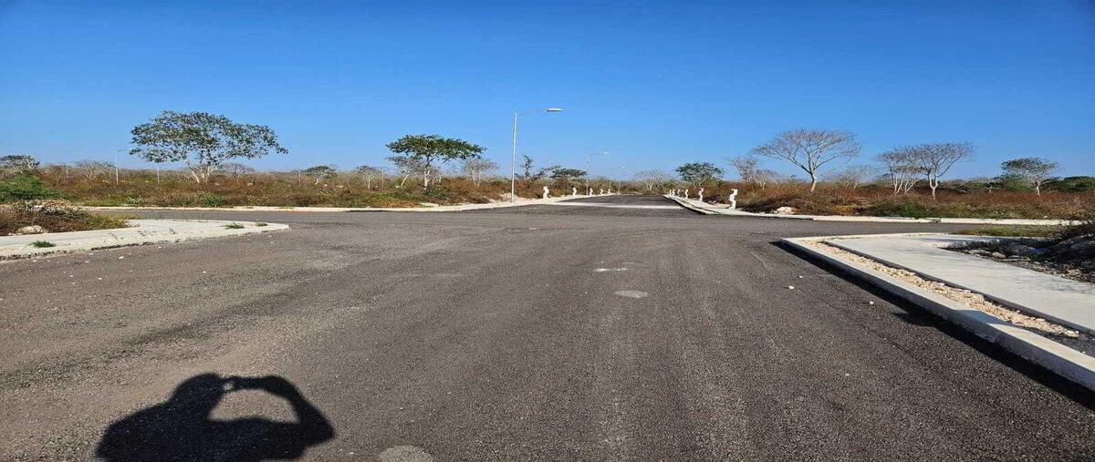 Foto de terreno habitacional en venta en  , conkal, conkal, yucatán, 0 No. 05