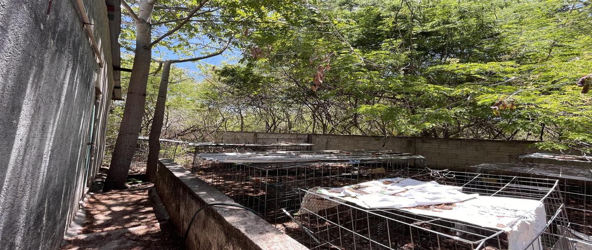 Foto de terreno habitacional en venta en  , conkal, conkal, yucatán, 0 No. 05