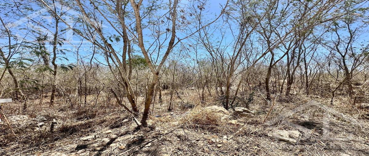 Foto de terreno habitacional en , conkal, conkal, yucatán, 0 foto 04 Foto de terreno habitacional en venta en , conkal, conkal, yucatán, 0 No. 04