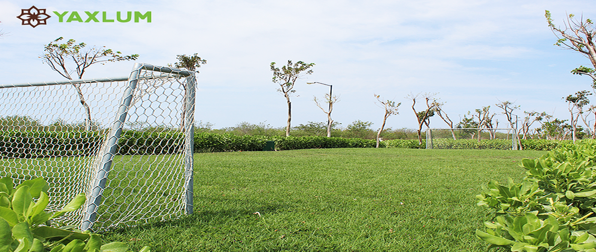 Foto de terreno habitacional en venta en . , conkal, conkal, yucatán, 0 No. 05