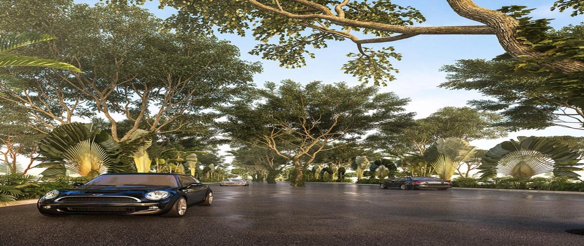 Foto de terreno habitacional en venta en  , conkal, conkal, yucatán, 0 No. 04