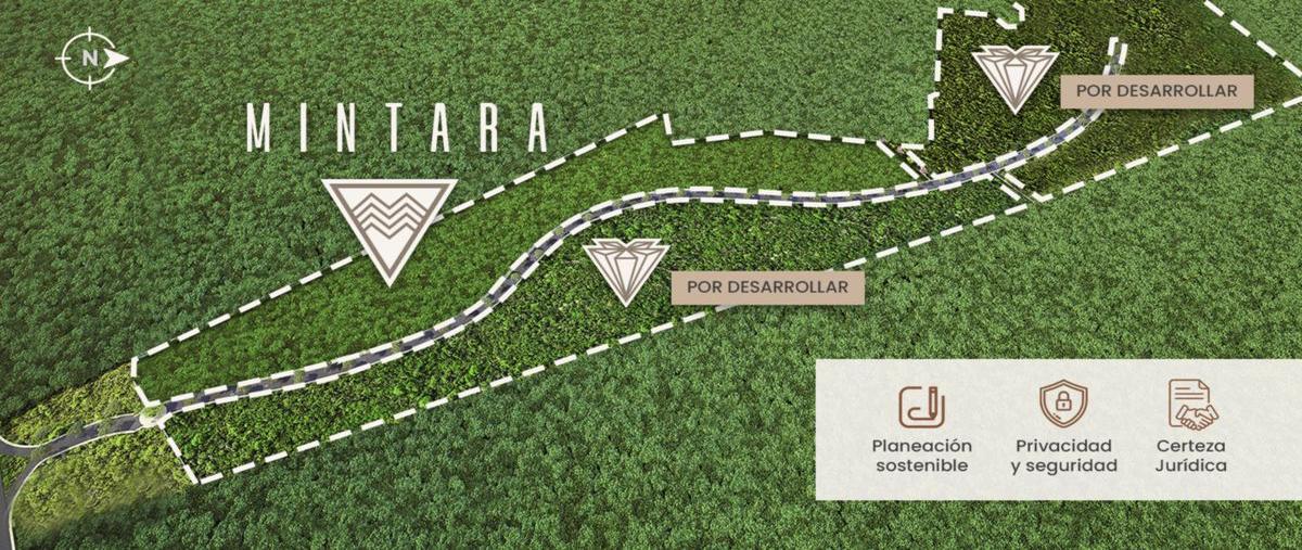 Foto de terreno habitacional en venta en  , conkal, conkal, yucatán, 0 No. 05