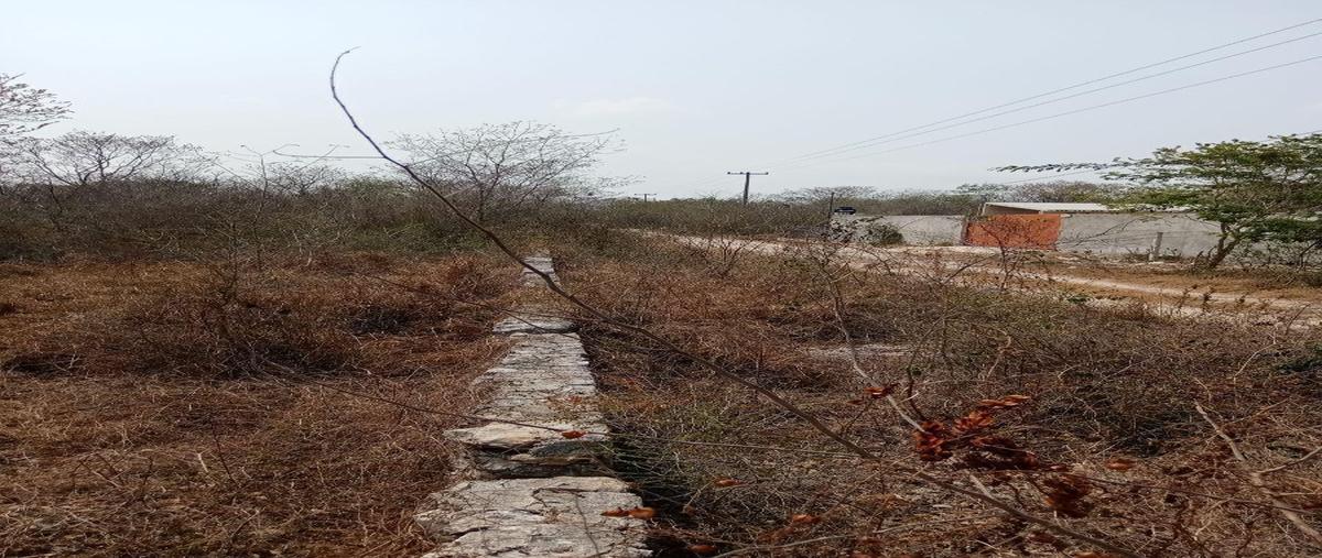 Foto de terreno habitacional en , conkal, conkal, yucatán, 30710130 foto 03 Foto de terreno habitacional en venta en , conkal, conkal, yucatán, 30710130 No. 03