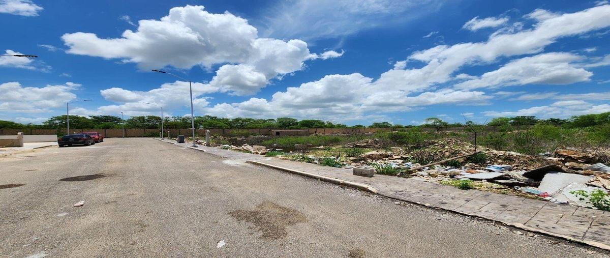 Foto de terreno habitacional en venta en  , conkal, conkal, yucatán, 0 No. 03