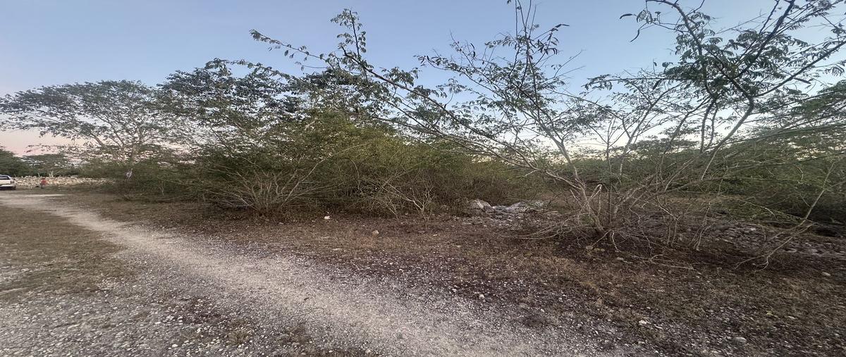 Foto de terreno habitacional en venta en . , conkal, conkal, yucatán, 30894112 No. 05