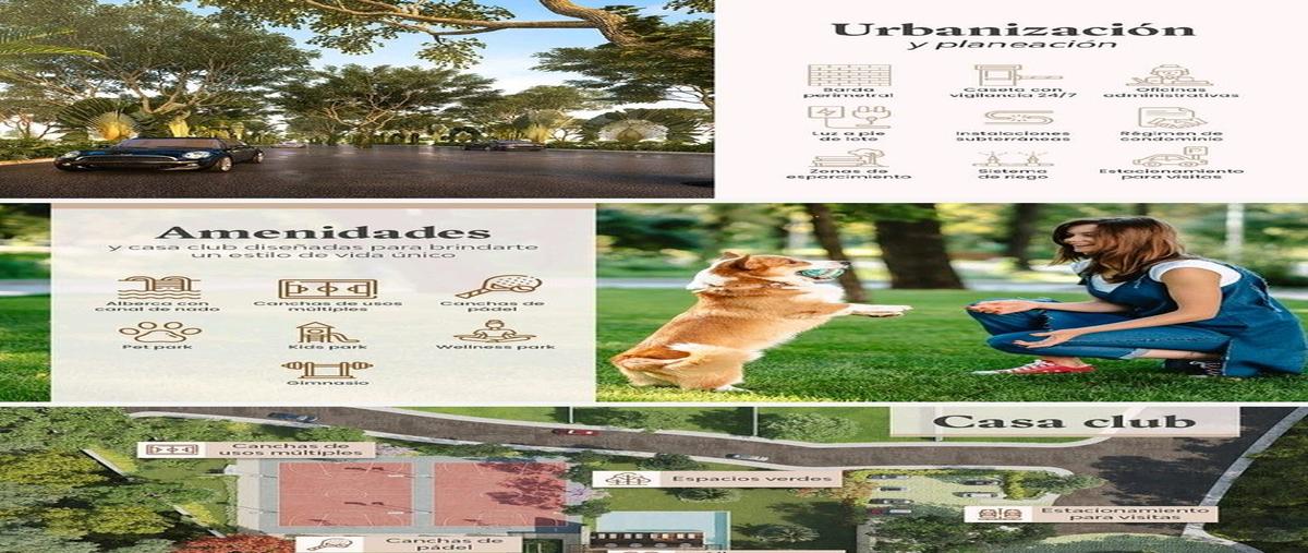 Foto de terreno habitacional en venta en  , conkal, conkal, yucatán, 0 No. 03