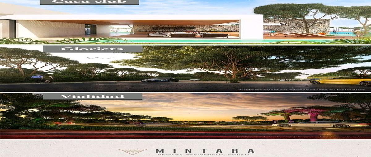 Foto de terreno habitacional en venta en  , conkal, conkal, yucatán, 0 No. 05