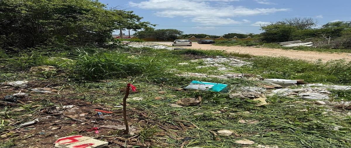 Foto de terreno habitacional en venta en  , conkal, conkal, yucatán, 0 No. 03