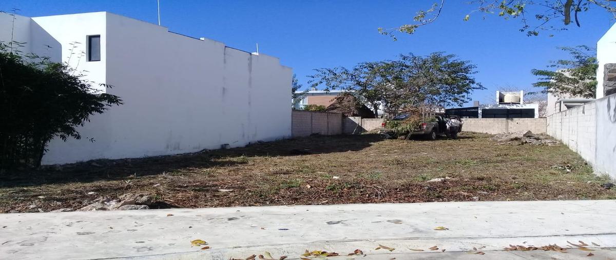 Foto de terreno habitacional en venta en  , conkal, conkal, yucatán, 0 No. 03