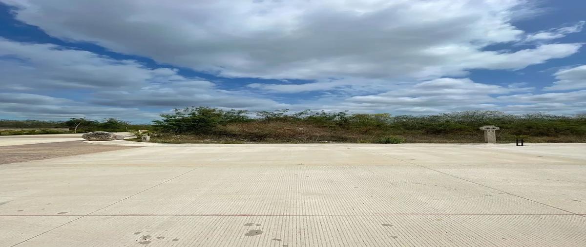 Foto de terreno habitacional en venta en  , conkal, conkal, yucatán, 0 No. 03