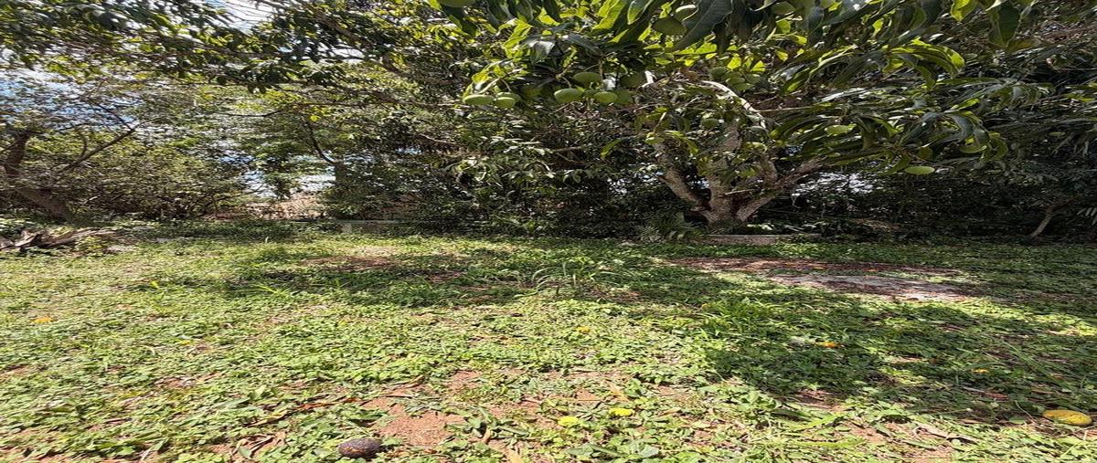 Foto de terreno habitacional en venta en - , conkal, conkal, yucatán, 0 No. 03