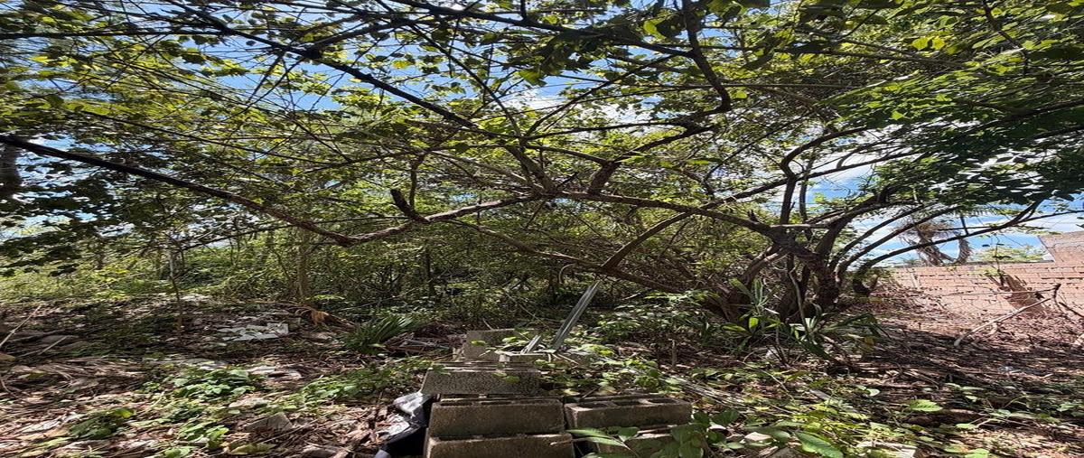 Foto de terreno habitacional en venta en - , conkal, conkal, yucatán, 0 No. 05