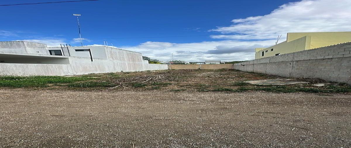 Foto de terreno habitacional en venta en  , conkal, conkal, yucatán, 0 No. 03