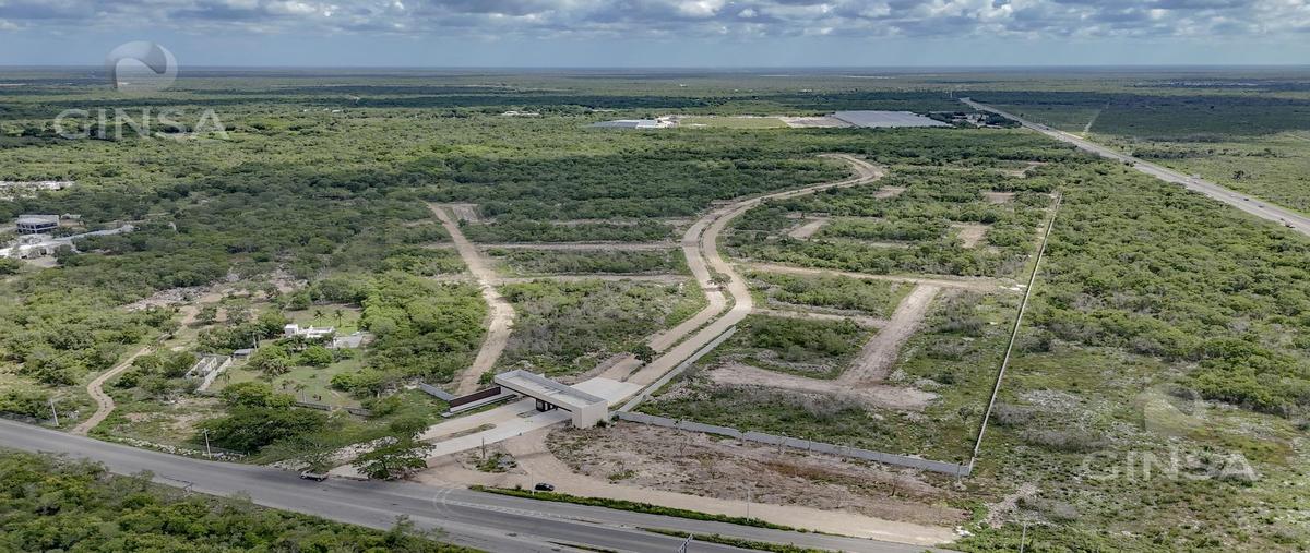 Foto de terreno habitacional en , conkal, conkal, yucatán, 0 foto 05 Foto de terreno habitacional en venta en , conkal, conkal, yucatán, 0 No. 05