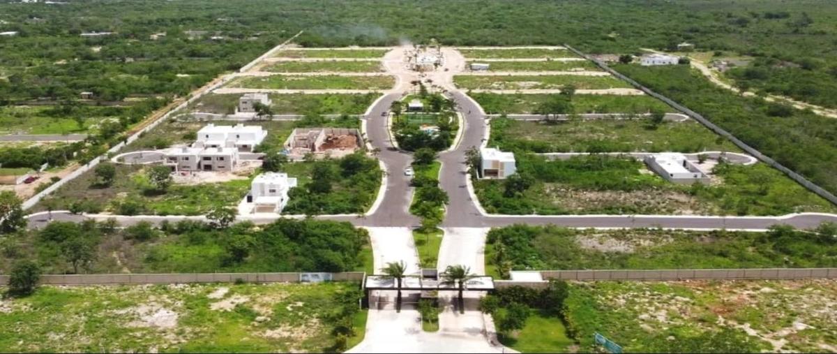 Foto de terreno habitacional en , conkal, conkal, yucatán, 0 foto 03 Foto de terreno habitacional en venta en , conkal, conkal, yucatán, 0 No. 03