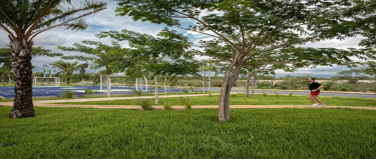Foto de terreno habitacional en , conkal, conkal, yucatán, 0 foto 04 Foto de terreno habitacional en venta en , conkal, conkal, yucatán, 0 No. 04