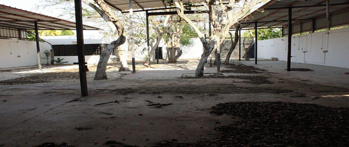 Foto de local en venta en  , conkal, conkal, yucatán, 0 No. 03