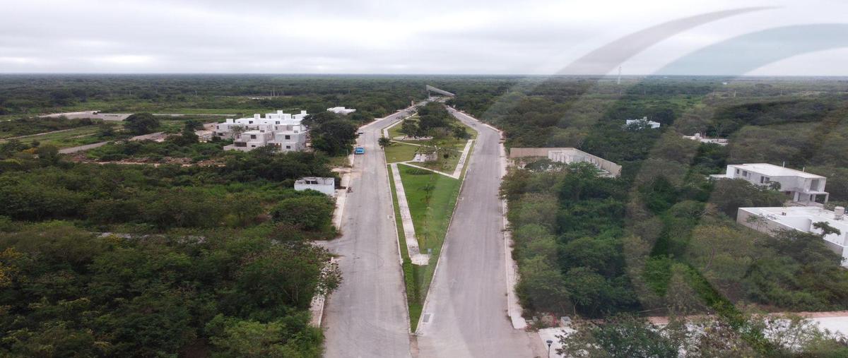 Foto de terreno habitacional en venta en  , conkal, conkal, yucatán, 31338074 No. 04