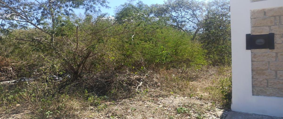 Foto de terreno habitacional en venta en  , conkal, conkal, yucatán, 31426942 No. 03