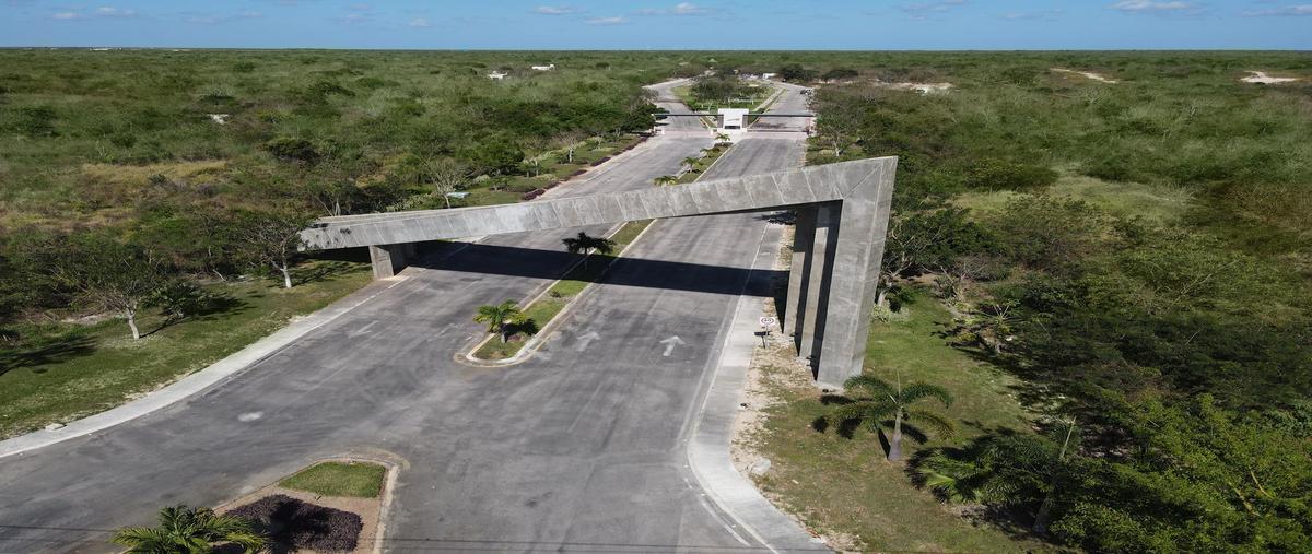 Foto de terreno habitacional en venta en  , conkal, conkal, yucatán, 31426966 No. 05