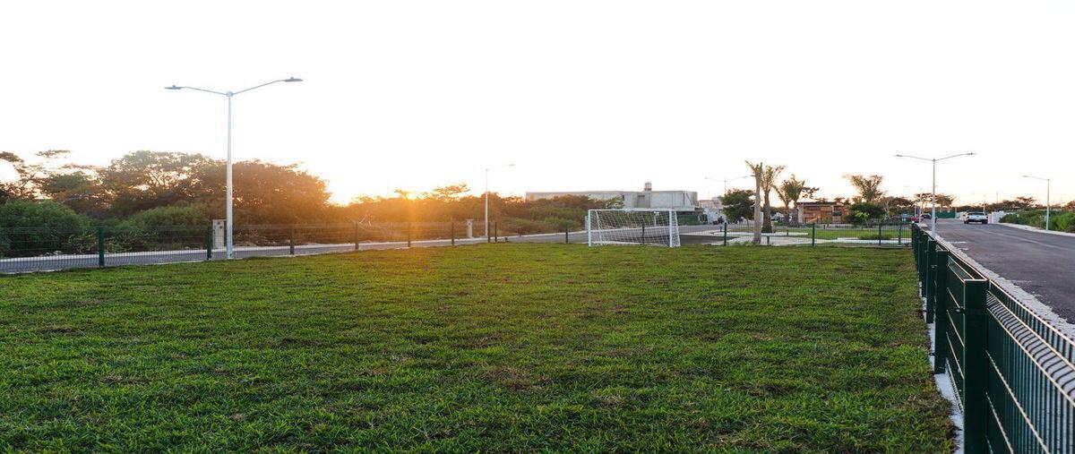 Foto de terreno habitacional en venta en  , conkal, conkal, yucatán, 31427004 No. 05