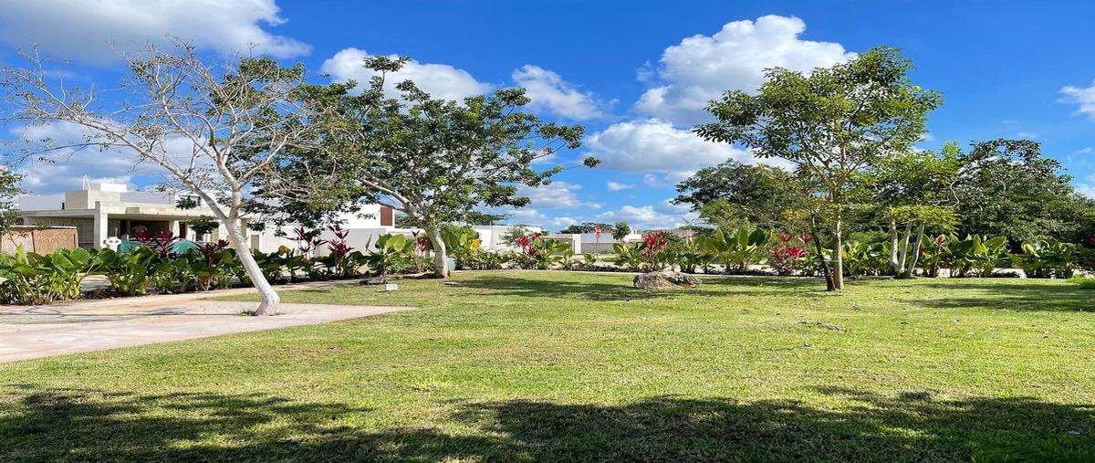 Foto de terreno habitacional en , conkal, conkal, yucatán, 31427011 foto 03 Foto de terreno habitacional en venta en , conkal, conkal, yucatán, 31427011 No. 03