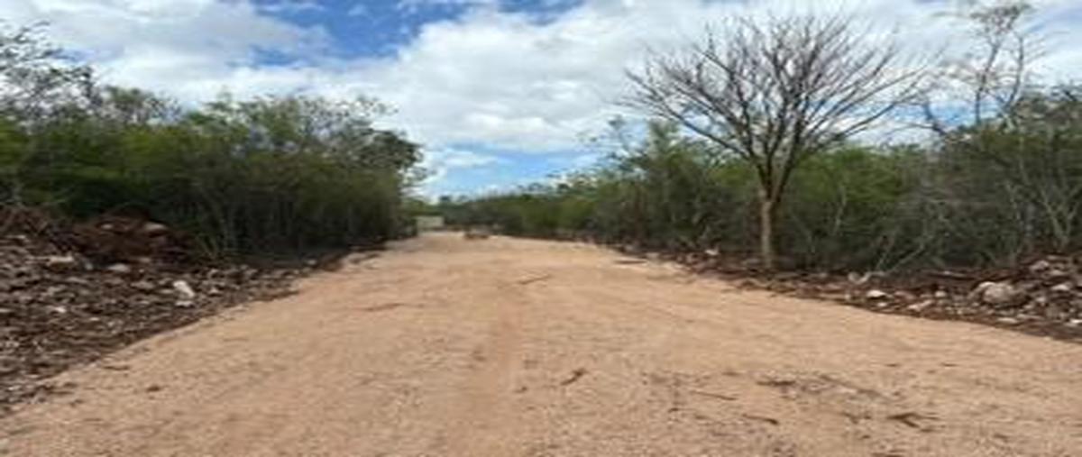Foto de terreno habitacional en , conkal, conkal, yucatán, 0 foto 05 Foto de terreno habitacional en venta en , conkal, conkal, yucatán, 0 No. 05