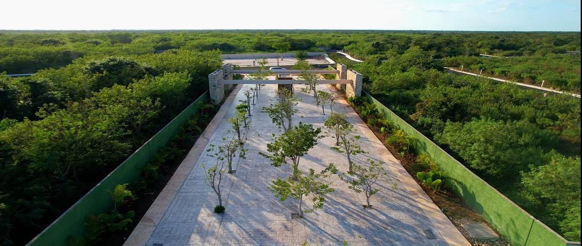 Foto de terreno habitacional en venta en  , conkal, conkal, yucatán, 0 No. 03