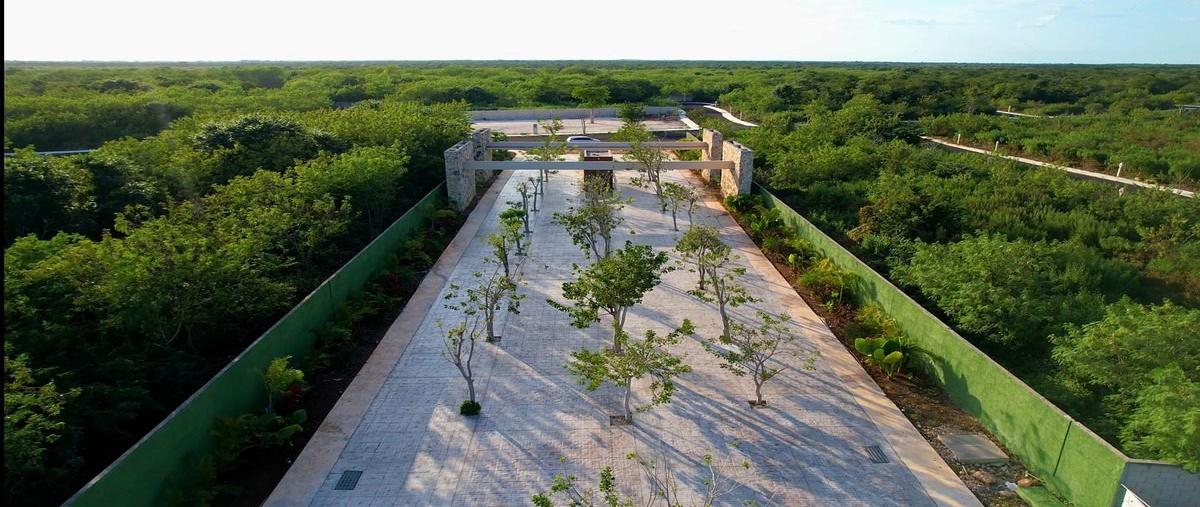 Foto de terreno habitacional en venta en  , conkal, conkal, yucatán, 0 No. 04