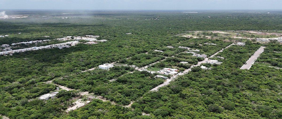 Foto de terreno habitacional en venta en  , conkal, conkal, yucatán, 0 No. 03