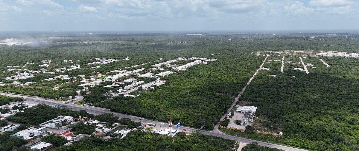 Foto de terreno habitacional en venta en  , conkal, conkal, yucatán, 0 No. 05