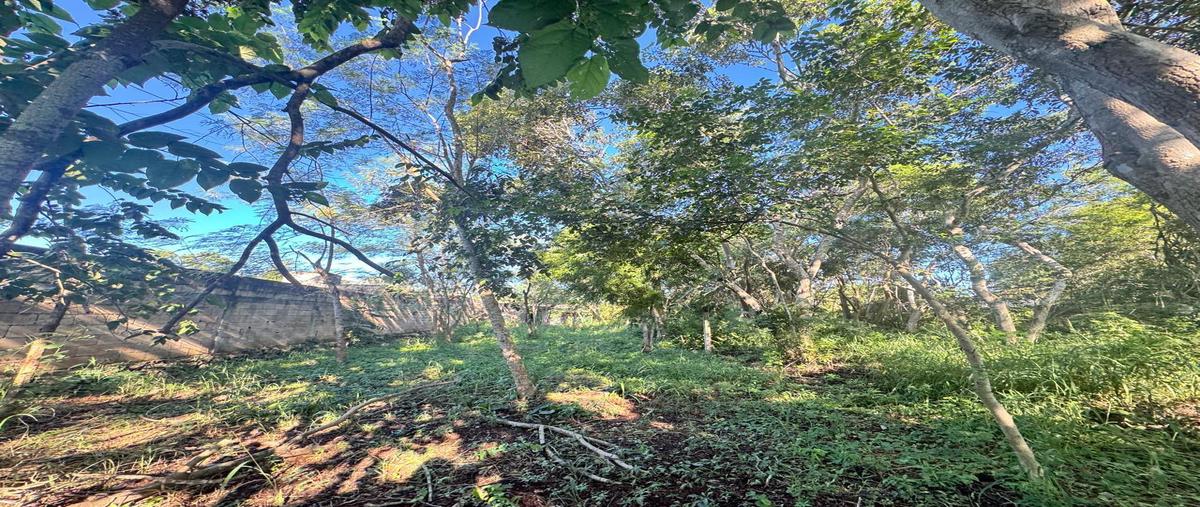 Foto de casa en venta en  , conkal, conkal, yucatán, 0 No. 04