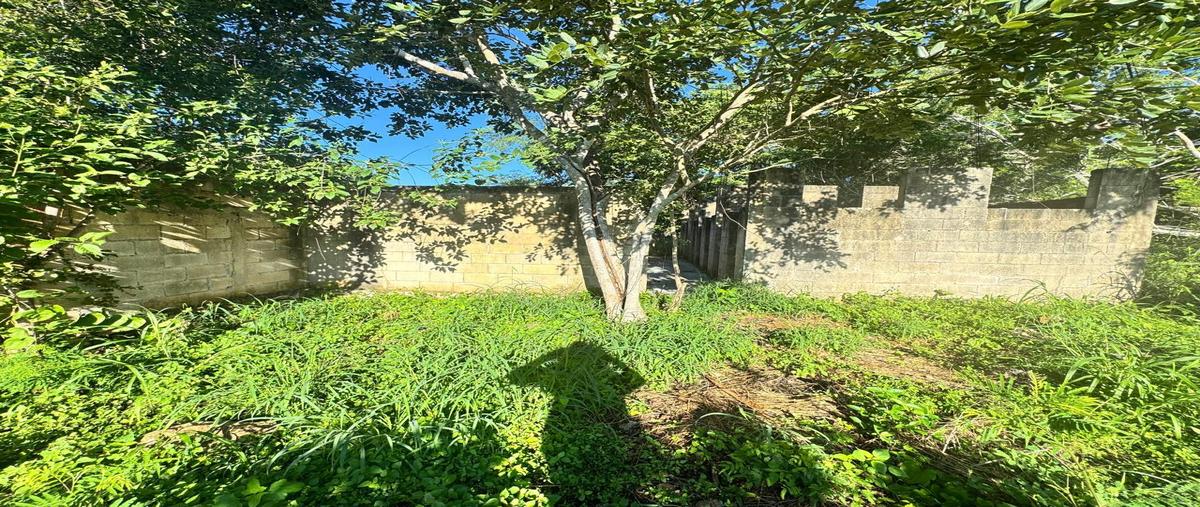 Foto de casa en venta en  , conkal, conkal, yucatán, 0 No. 05