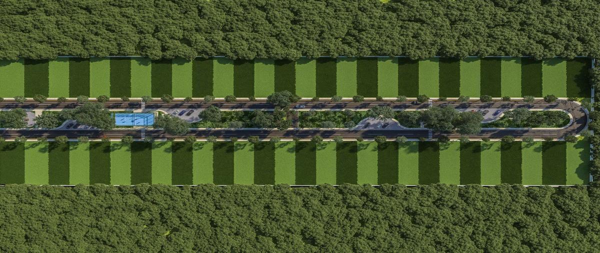 Foto de terreno habitacional en conkal, conkal, yucatán, 97345 , conkal, conkal, yucatán, 0 foto 05 Foto de terreno habitacional en venta en conkal, conkal, yucatán, 97345 , conkal, conkal, yucatán, 0 No. 05