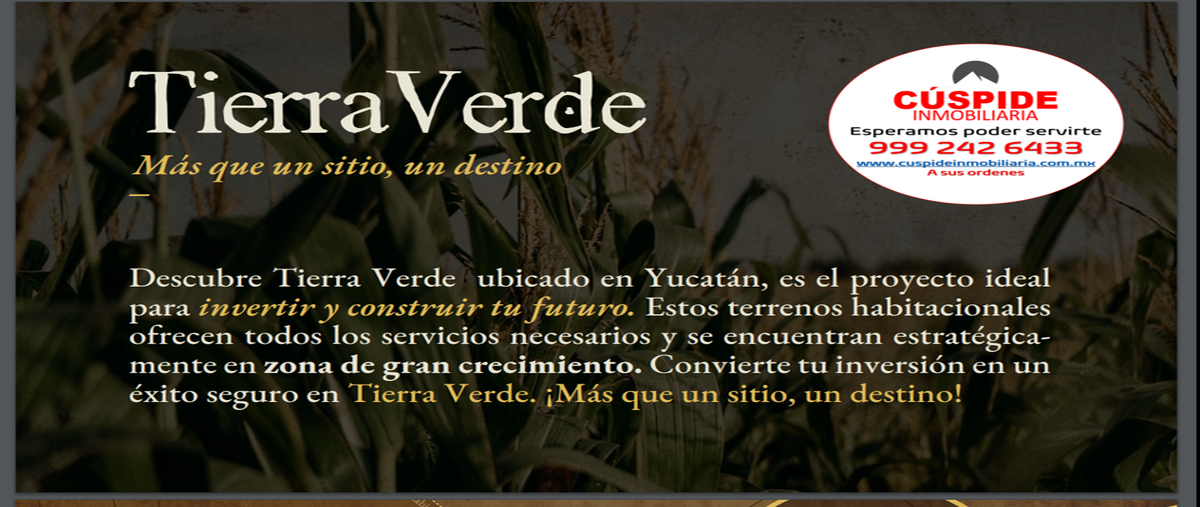 Foto de terreno habitacional en venta en conkal, conkal, yucatán , conkal, conkal, yucatán, 0 No. 03