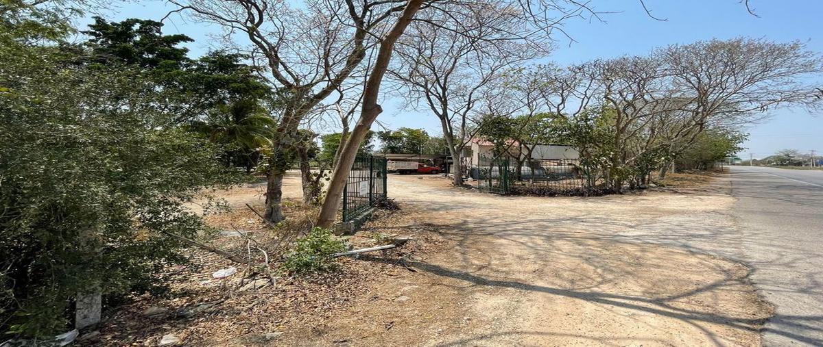 Foto de terreno habitacional en conkal , praderas del mayab, conkal, yucatán, 0 foto 05 Foto de terreno habitacional en venta en conkal , praderas del mayab, conkal, yucatán, 0 No. 05