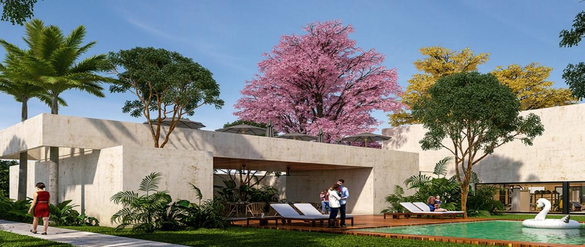 Foto de terreno habitacional en conkal whi10221, conkal, conkal, yucatán, 15477079 foto 02 Foto de terreno habitacional en venta en conkal whi10221, conkal, conkal, yucatán, 15477079 No. 02