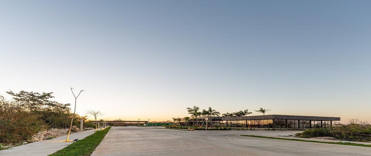 Foto de terreno habitacional en venta en conkal whi10887, conkal, conkal, yucatán, 15476877 No. 05