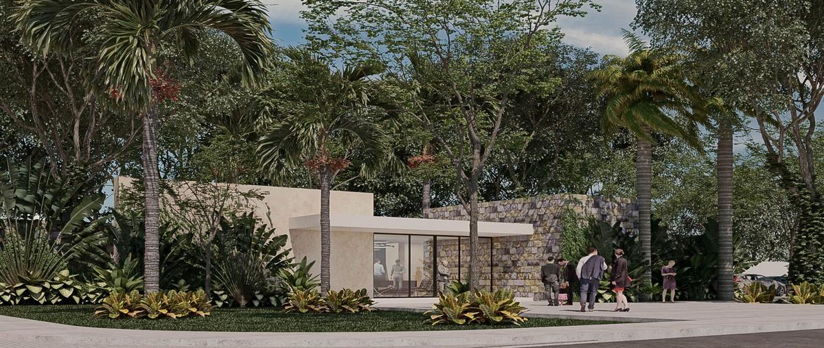 Foto de terreno habitacional en venta en conkal whi277759, conkal, conkal, yucatán, 24832429 No. 04
