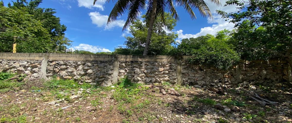 Foto de terreno habitacional en venta en conkal whi311030, conkal, conkal, yucatán, 0 No. 03