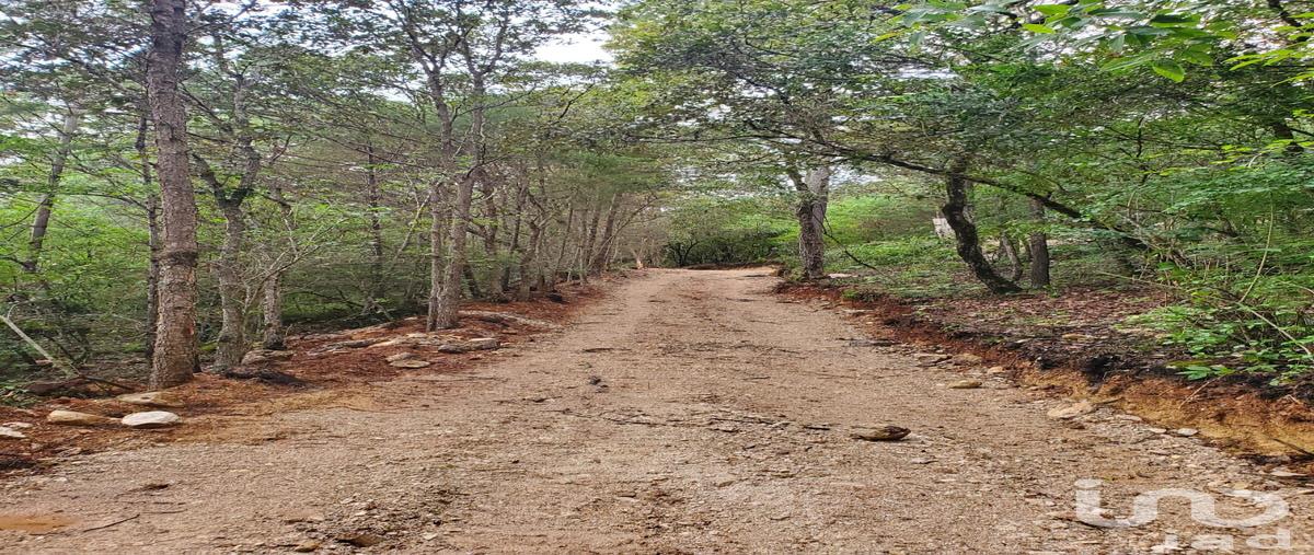 Foto de terreno habitacional en venta en conocida 79, kaltic, san cristóbal de las casas, chiapas, 29538533 No. 03
