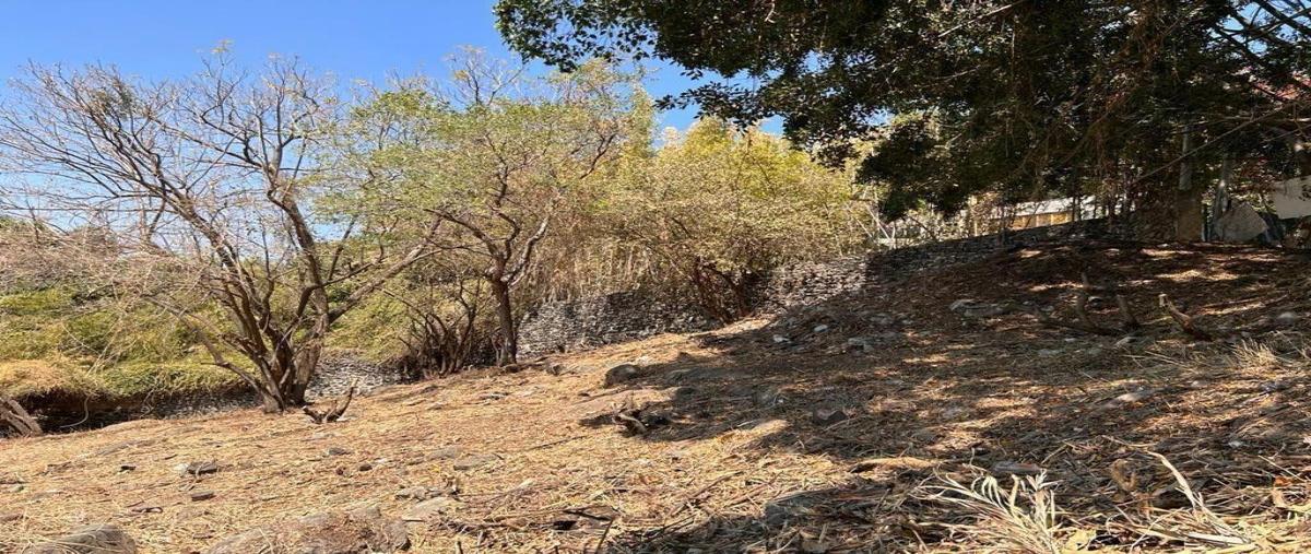Foto de terreno habitacional en venta en conocida , el palmar, cuernavaca, morelos, 27166339 No. 02