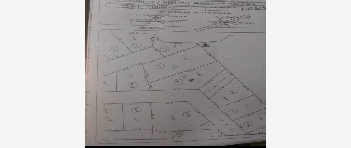 Foto de terreno habitacional en venta en conocida , el palmar, cuernavaca, morelos, 27166339 No. 04